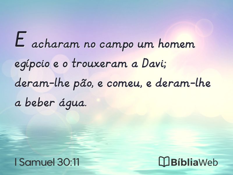I Samuel 30:11 em imagem para compartilhar
