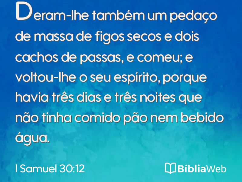 I Samuel 30:12 em imagem para compartilhar