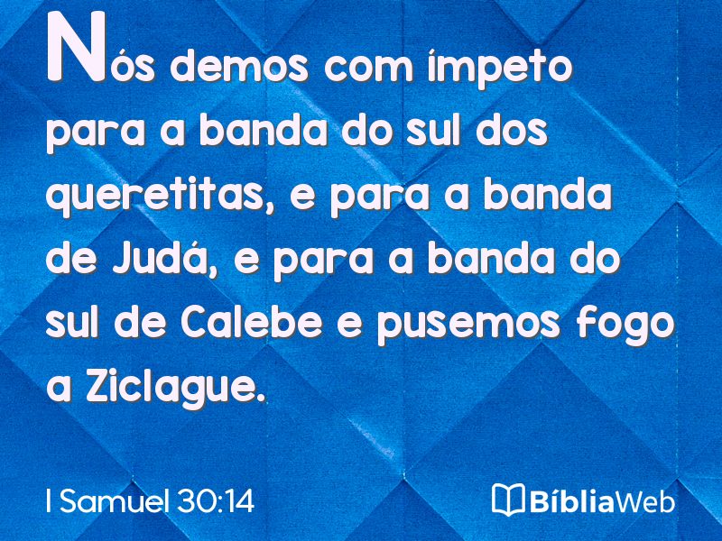 I Samuel 30:14 em imagem para compartilhar