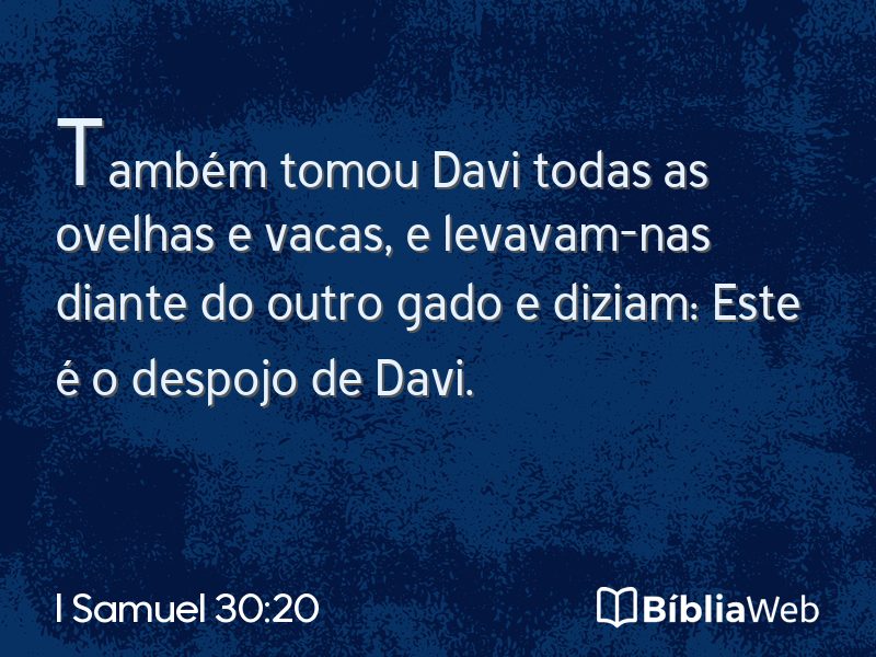 I Samuel 30:20 em imagem para compartilhar