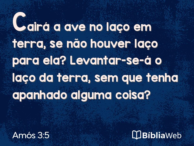 Amós 3:5 em imagem para compartilhar