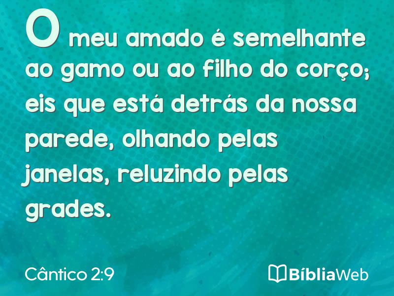 Cântico 2:9 em imagem para compartilhar