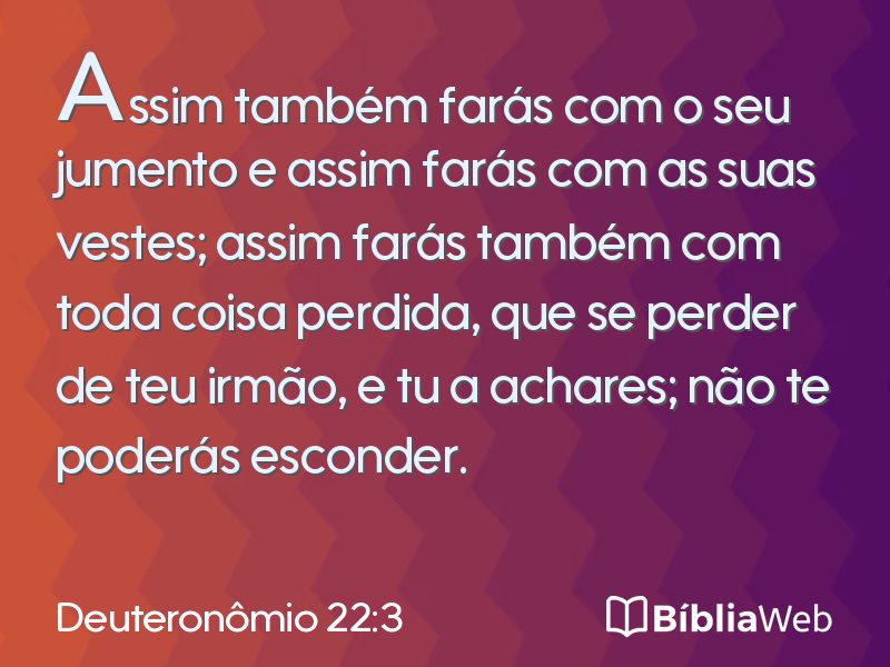Deuteronômio 22:3 em imagem para compartilhar