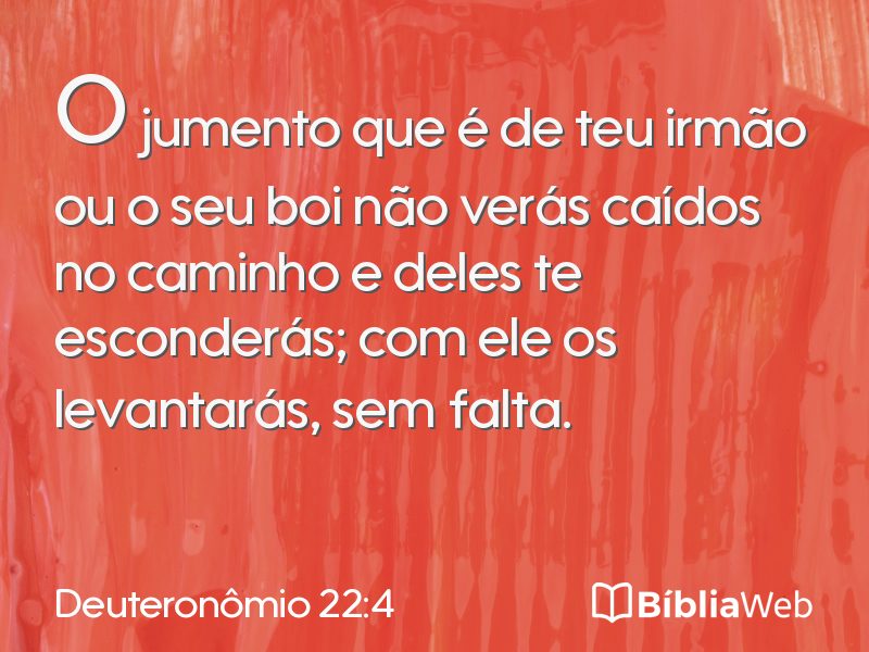 Deuteronômio 22:4 em imagem para compartilhar