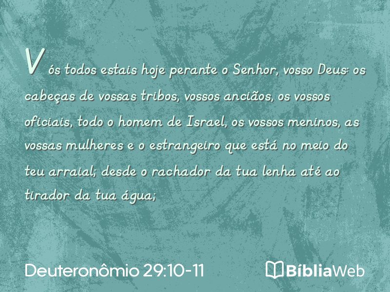 Deuteronômio 29:10-11 em imagem para compartilhar