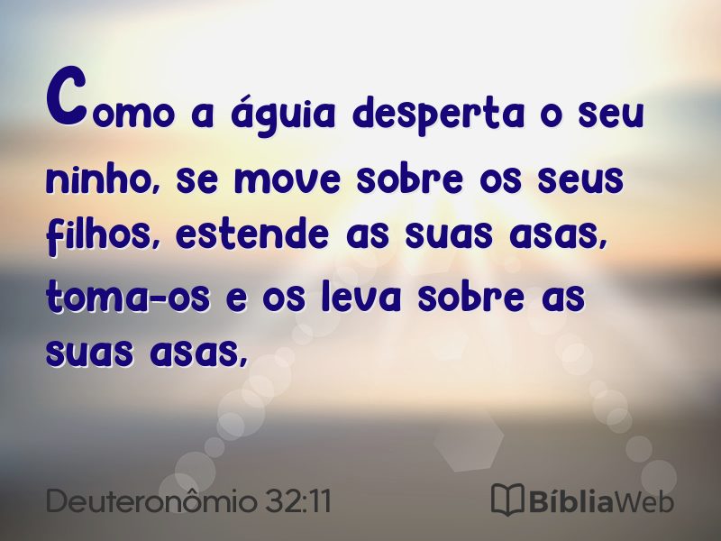 Deuteronômio 32:11 em imagem para compartilhar