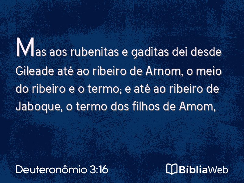 Deuteronômio 3:16 em imagem para compartilhar