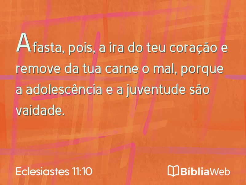 Eclesiastes 11:10 em imagem para compartilhar