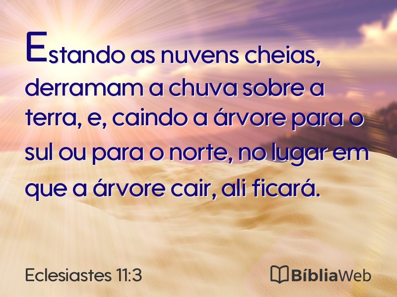 Eclesiastes 11:3 em imagem para compartilhar