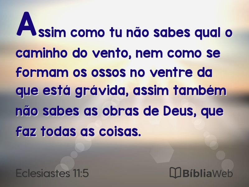 Eclesiastes 11:5 em imagem para compartilhar