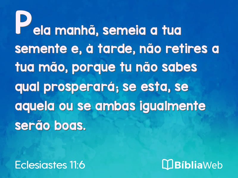 Eclesiastes 11:6 em imagem para compartilhar