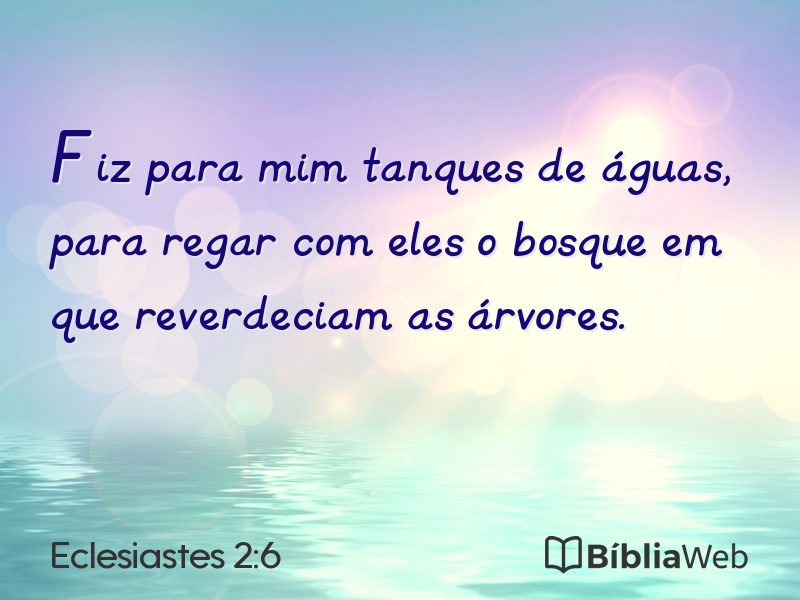 Eclesiastes 2:6 em imagem para compartilhar