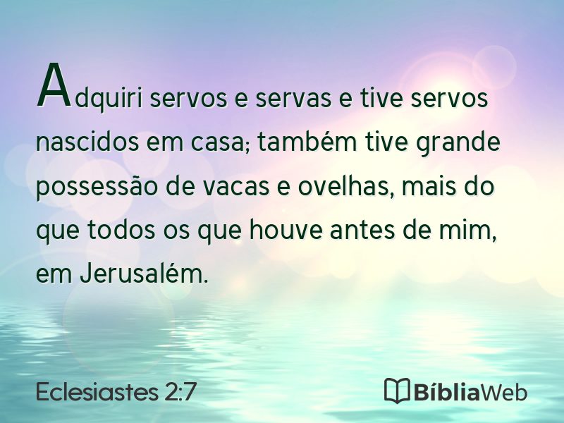 Eclesiastes 2:7 em imagem para compartilhar