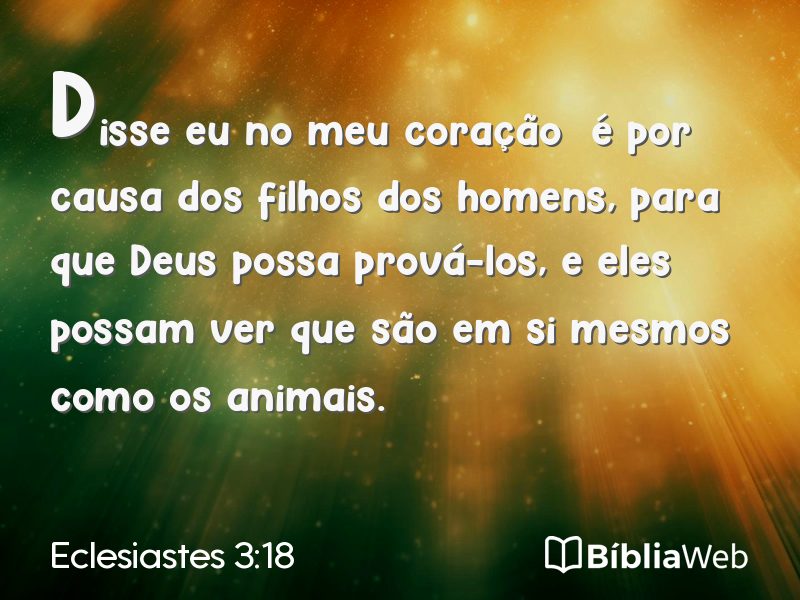 Eclesiastes 3:18 em imagem para compartilhar