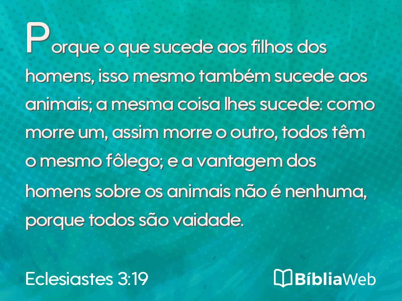 Eclesiastes 3:19 em imagem para compartilhar