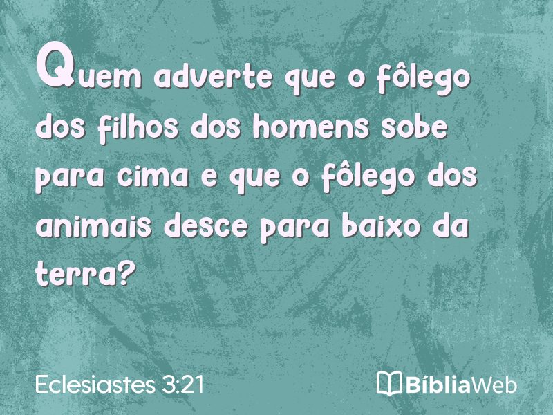 Eclesiastes 3:21 em imagem para compartilhar