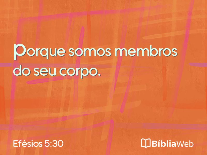 Efésios 5:30 em imagem para compartilhar