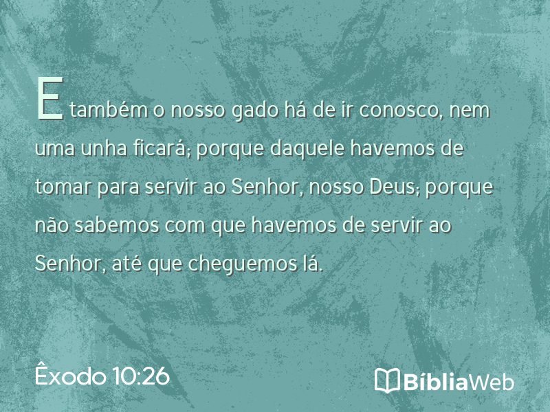 Êxodo 10:26 em imagem para compartilhar