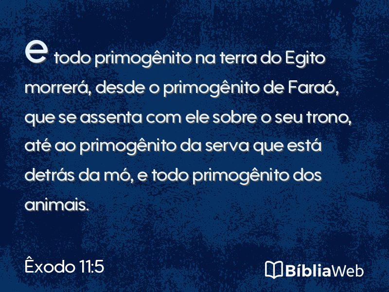 Êxodo 11:5 em imagem para compartilhar