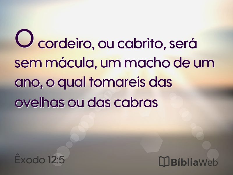 Êxodo 12:5 em imagem para compartilhar