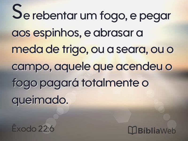 Êxodo 22:6 em imagem para compartilhar