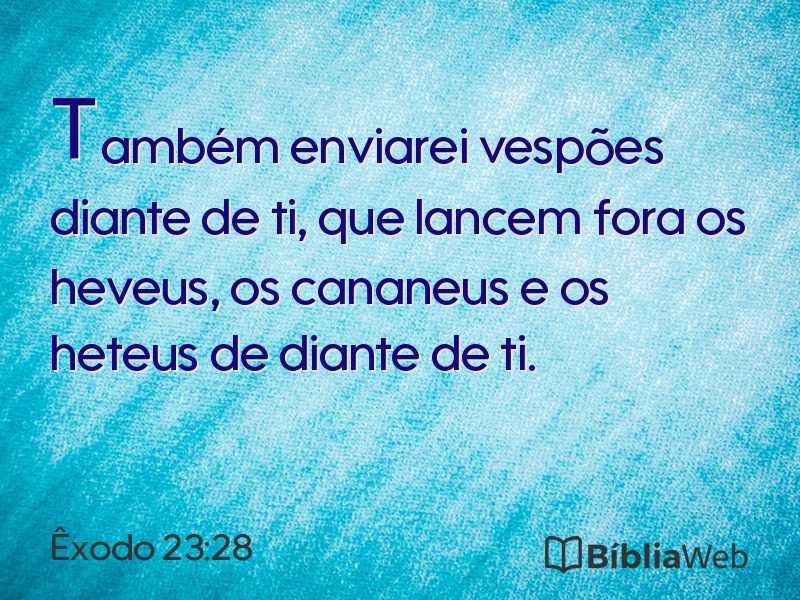 Êxodo 23:28 em imagem para compartilhar