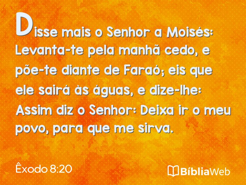 Êxodo 8:20 em imagem para compartilhar