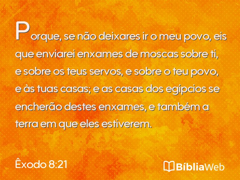 Êxodo 8:21 em imagem para compartilhar