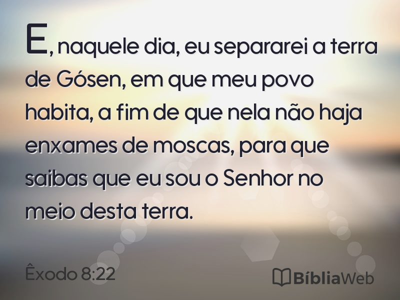 Êxodo 8:22 em imagem para compartilhar