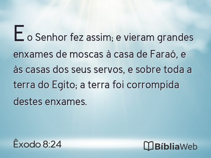 Êxodo 8:24 em imagem para compartilhar