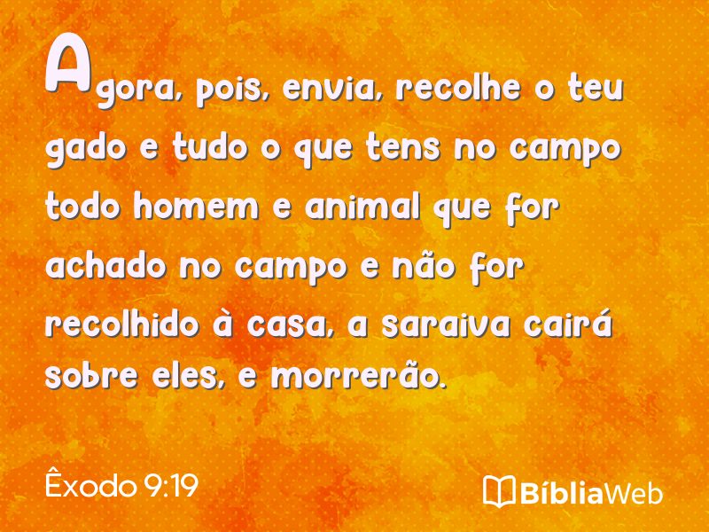 Êxodo 9:19 em imagem para compartilhar