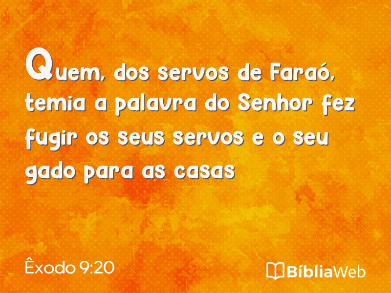 Êxodo 9:20 em imagem para compartilhar