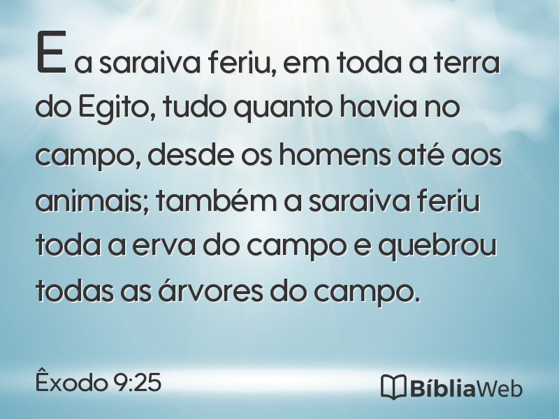 Êxodo 9:25 em imagem para compartilhar
