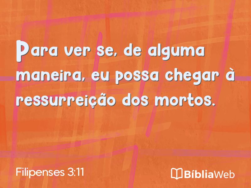 Filipenses 3:11 em imagem para compartilhar