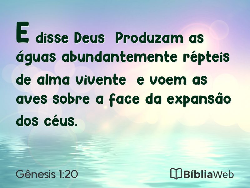 Gênesis 1:20 em imagem para compartilhar