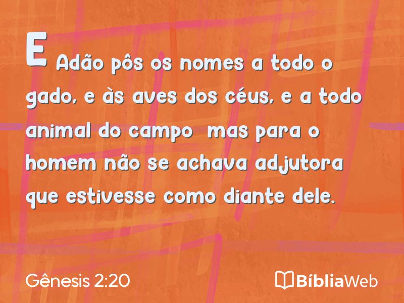 Gênesis 2:20 em imagem para compartilhar