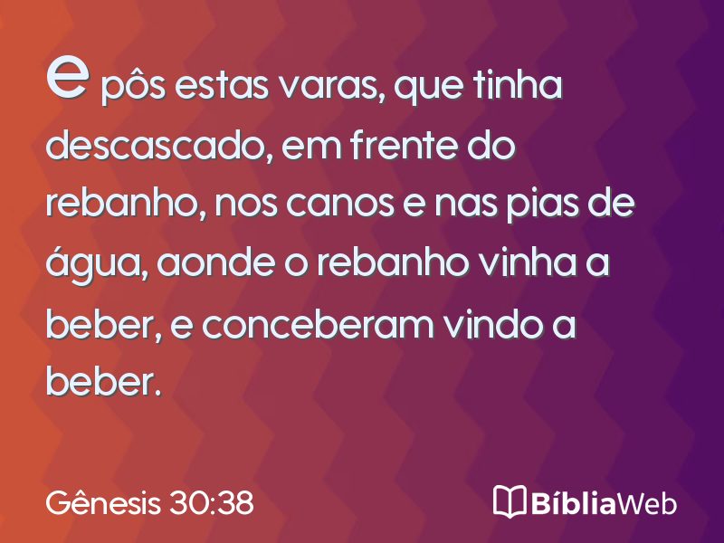 Gênesis 30:38 em imagem para compartilhar