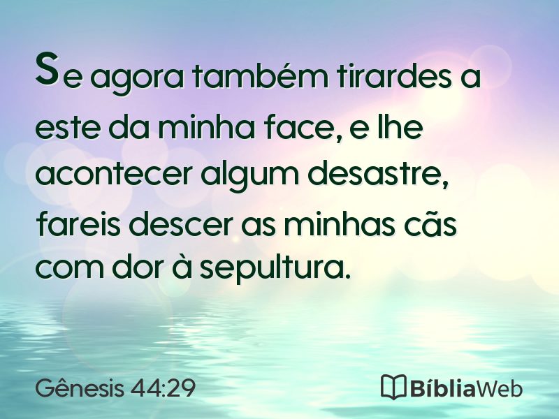 Gênesis 44:29 em imagem para compartilhar