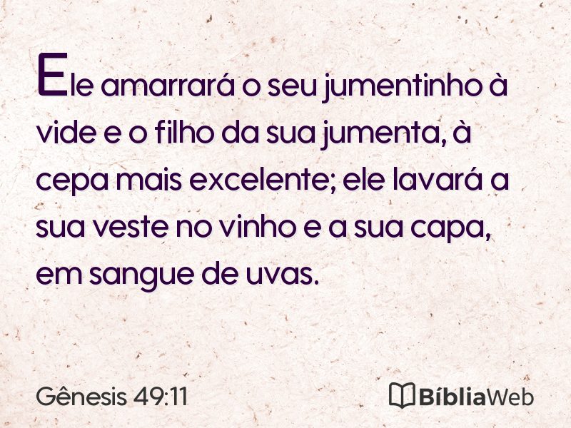 Gênesis 49:11 em imagem para compartilhar