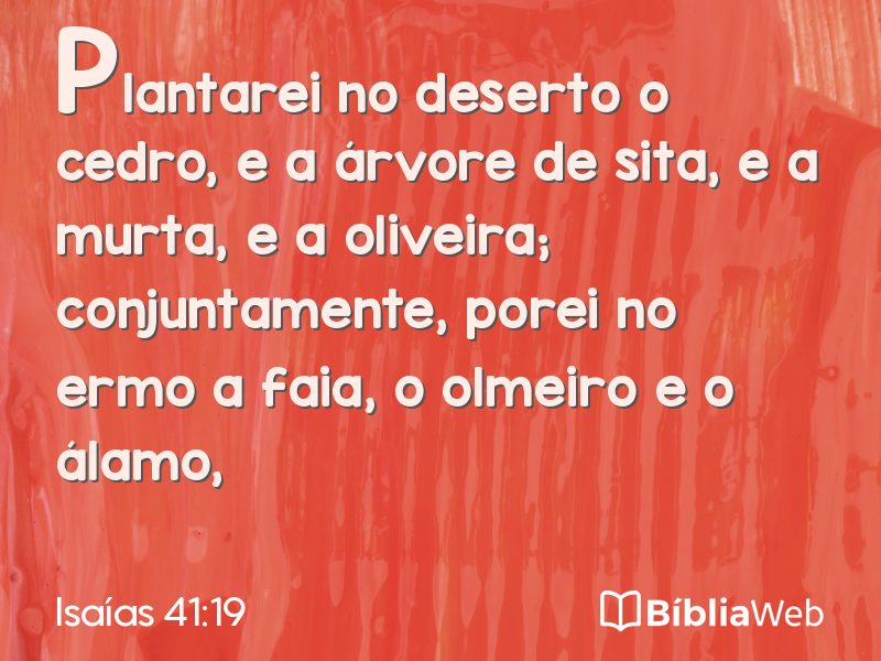 Isaías 41:19 em imagem para compartilhar