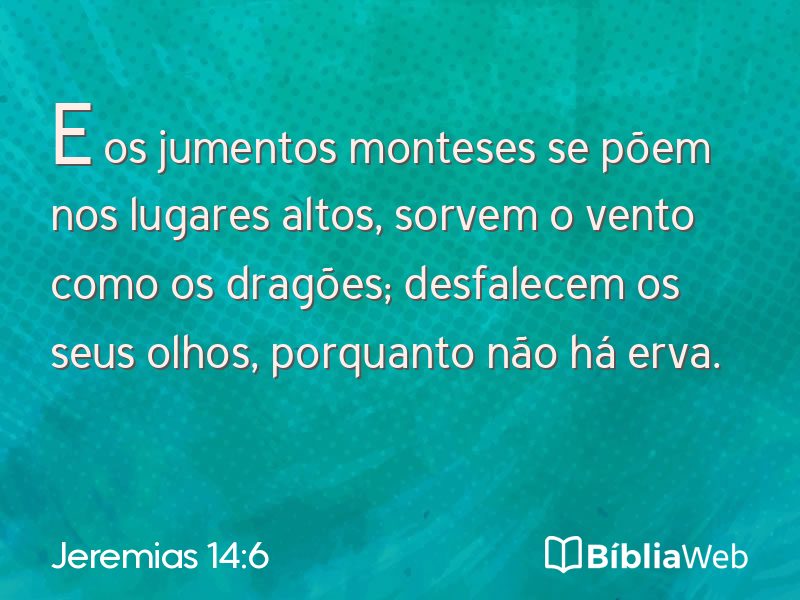 Jeremias 14:6 em imagem para compartilhar