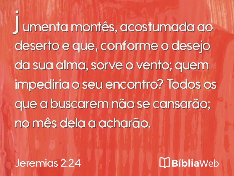 Jeremias 2:24 em imagem para compartilhar