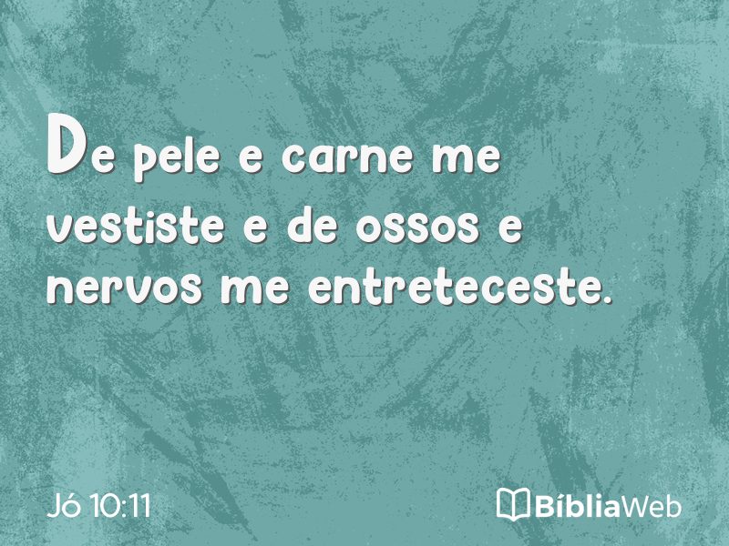Jó 10:11 em imagem para compartilhar