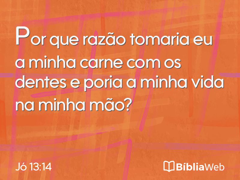 Jó 13:14 em imagem para compartilhar