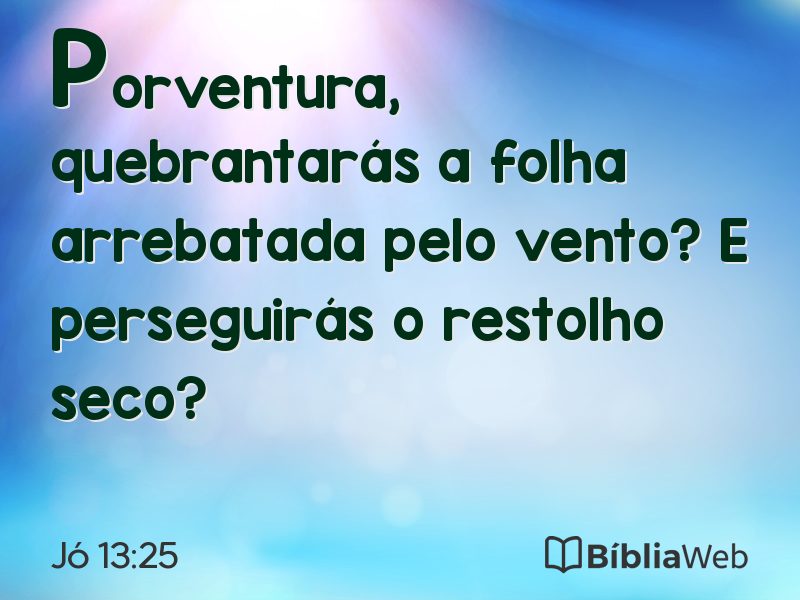 Jó 13:25 em imagem para compartilhar