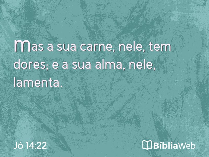 Jó 14:22 em imagem para compartilhar