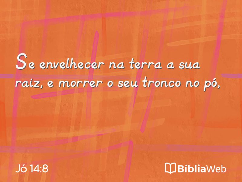 Jó 14:8 em imagem para compartilhar