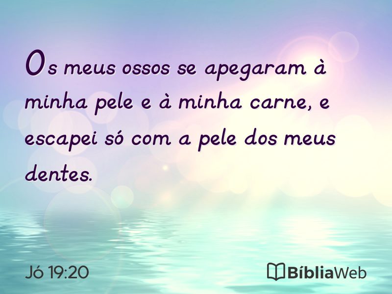 Jó 19:20 em imagem para compartilhar