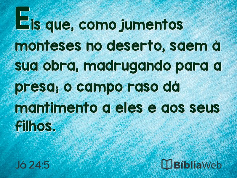Jó 24:5 em imagem para compartilhar