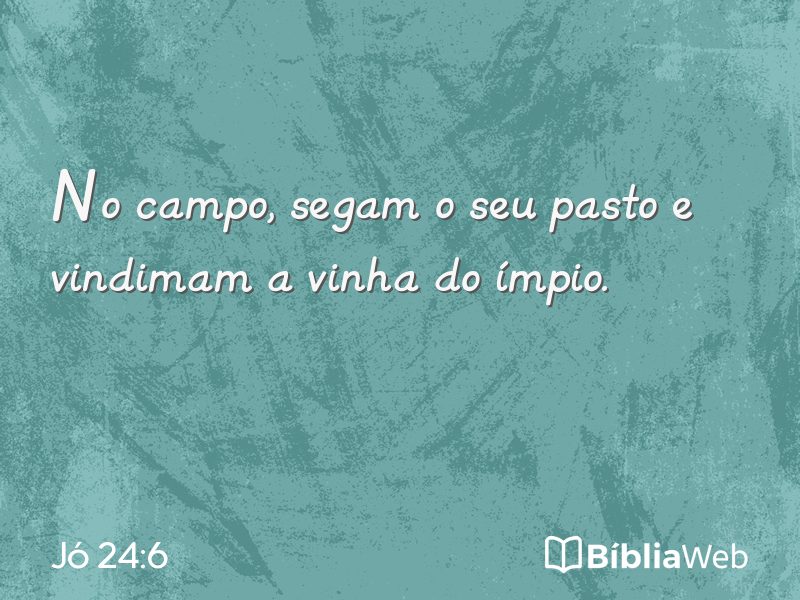 Jó 24:6 em imagem para compartilhar